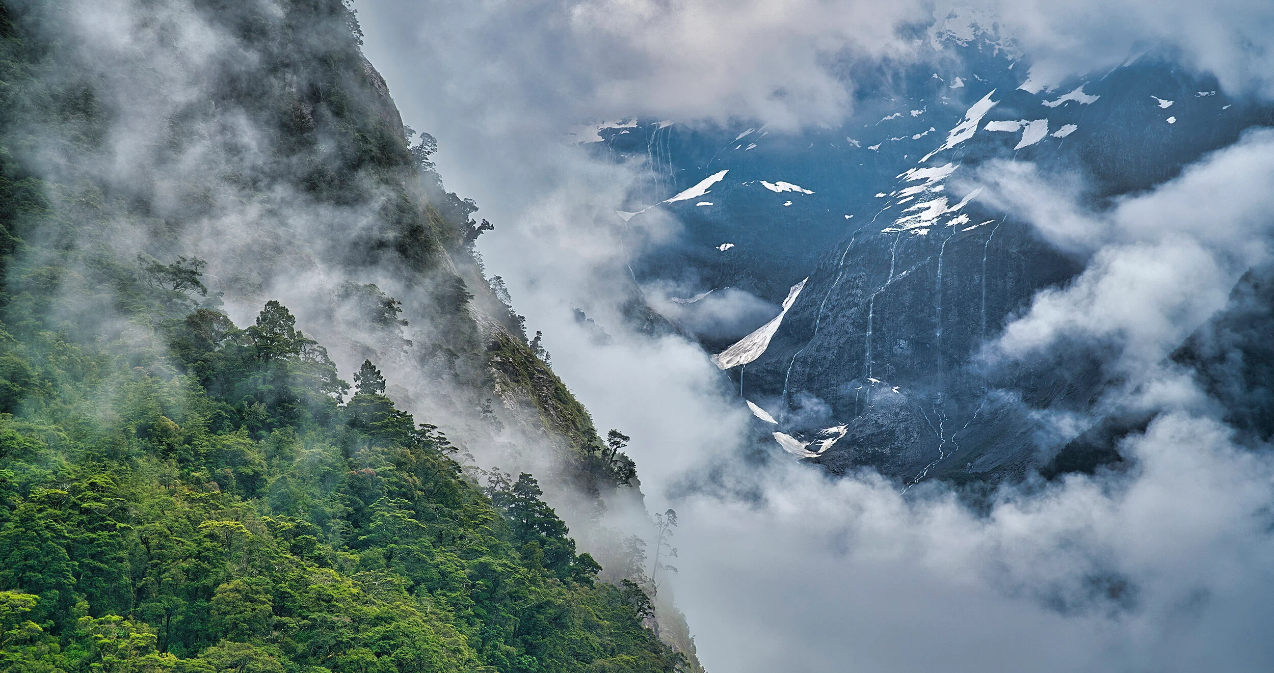 Hero image for Global Safety Net