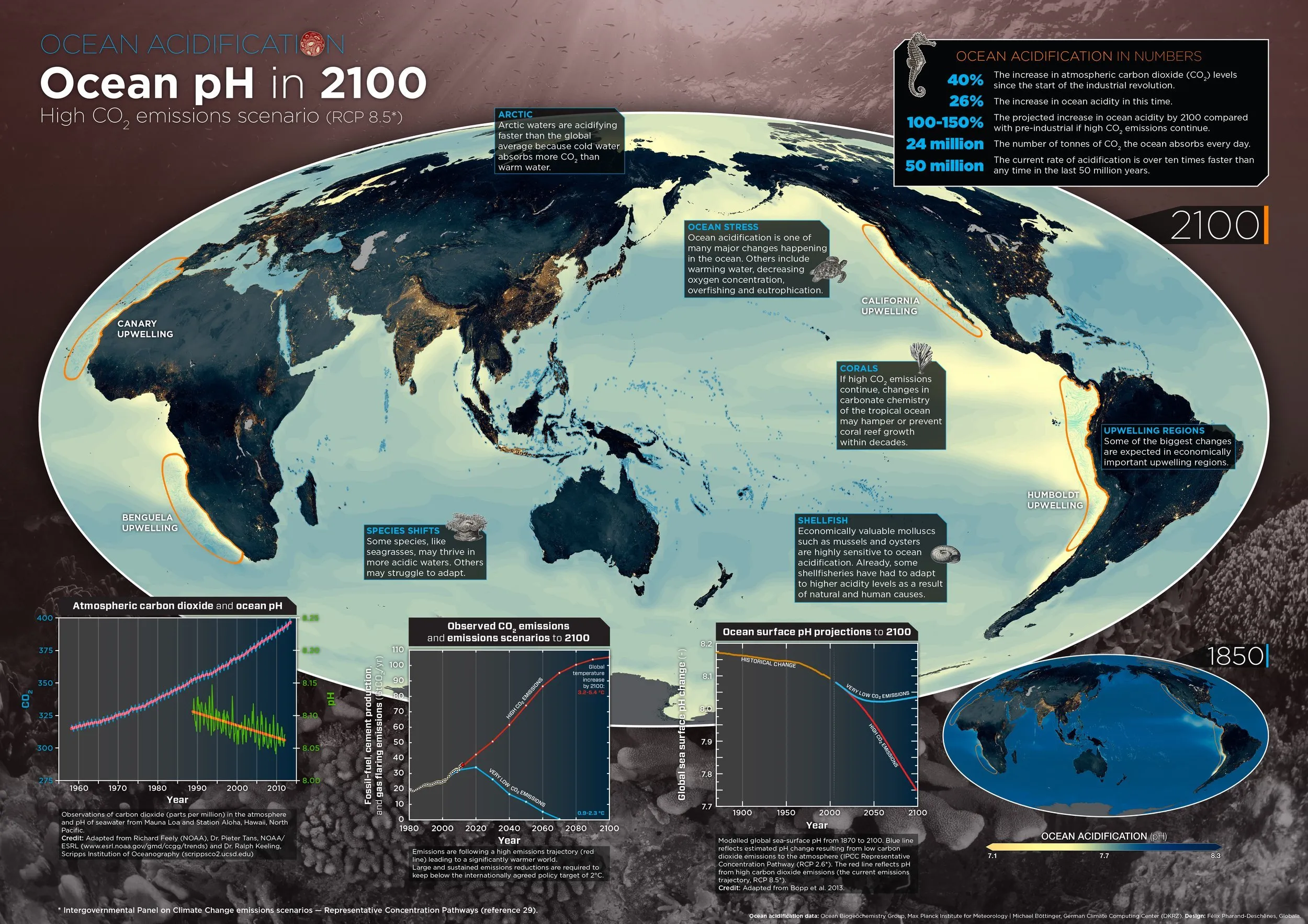 Ocean Acidification projections