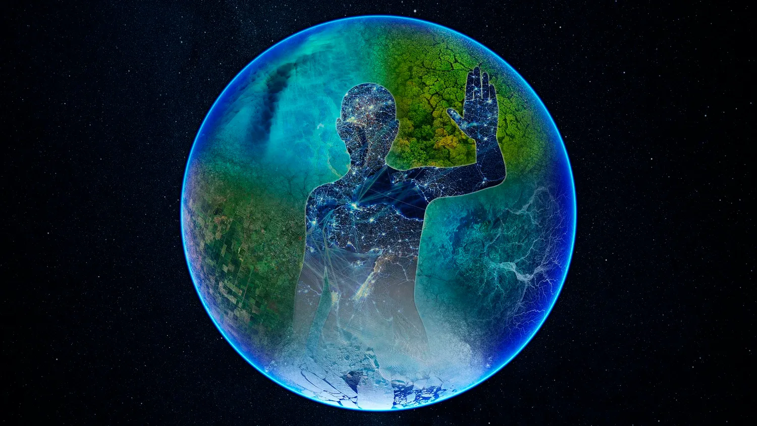 Planetary Sapience