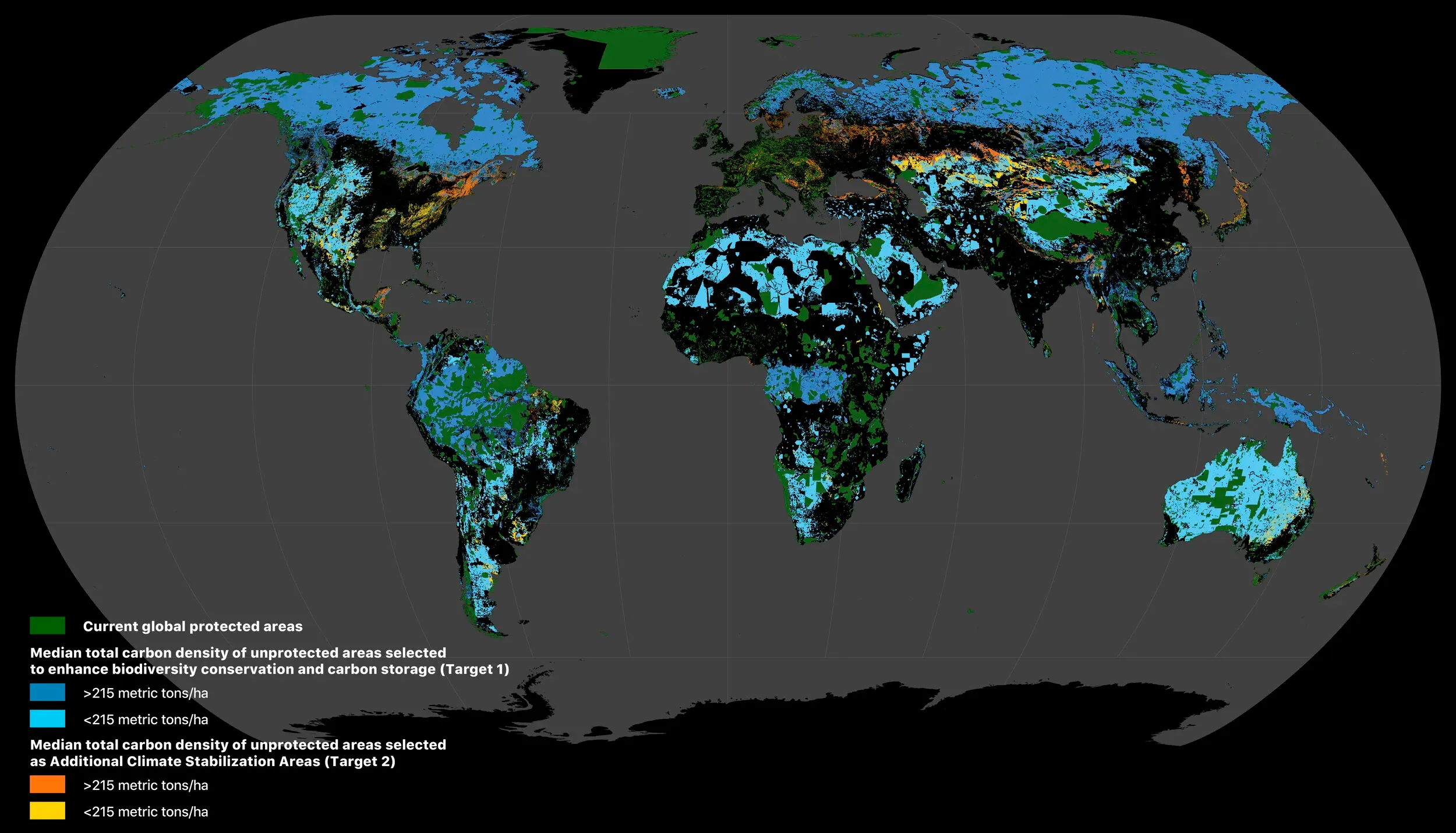 Interdependence of carbon and biodiversity