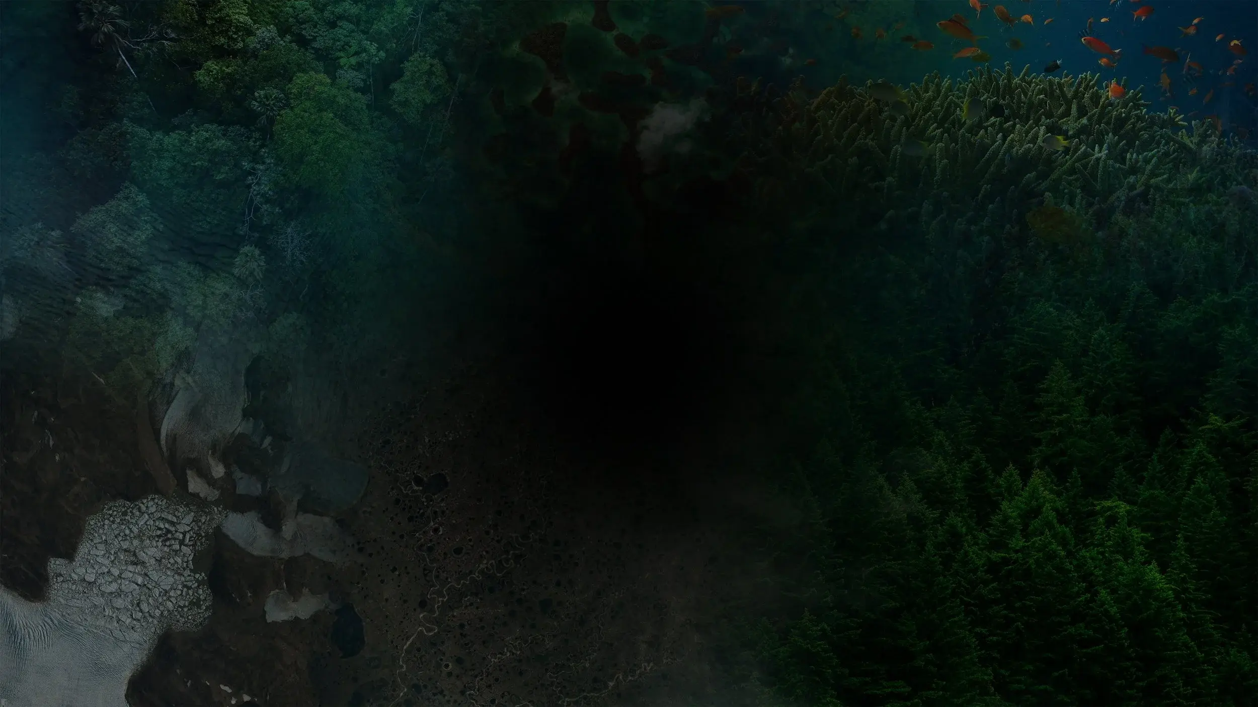 Composite of Earth's ecosystems including coral reefs, forests, and coastlines