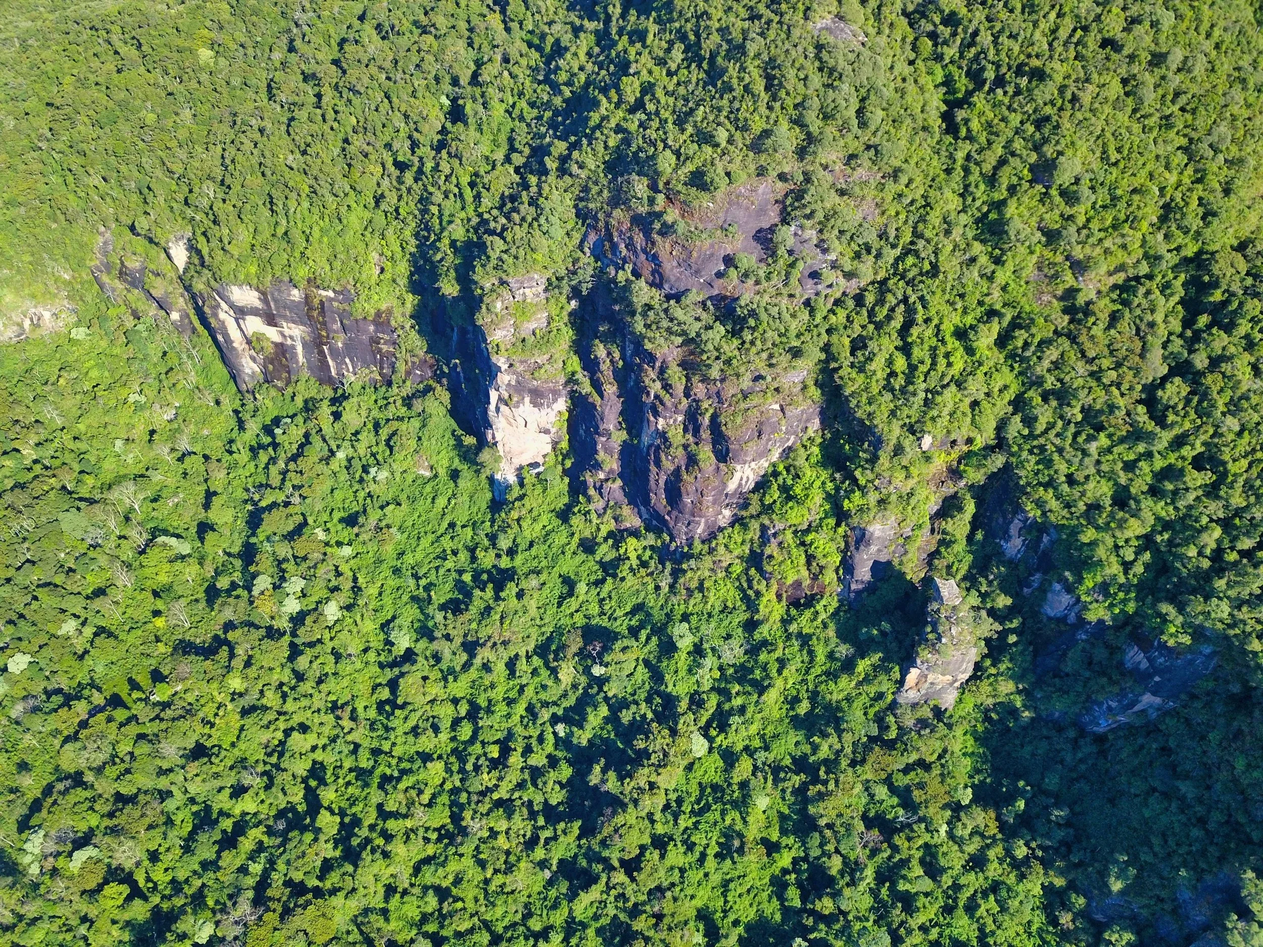 Aerial view of the Atlantic Forest canopy in the Serra da Mantiqueira, Vale do Matutu, Brazil — ancient trees and exposed rock faces in one of the most biodiverse regions on Earth