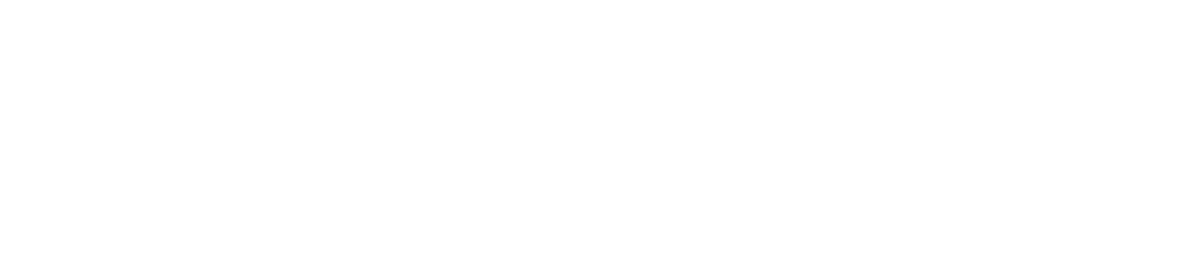 UN Foundation