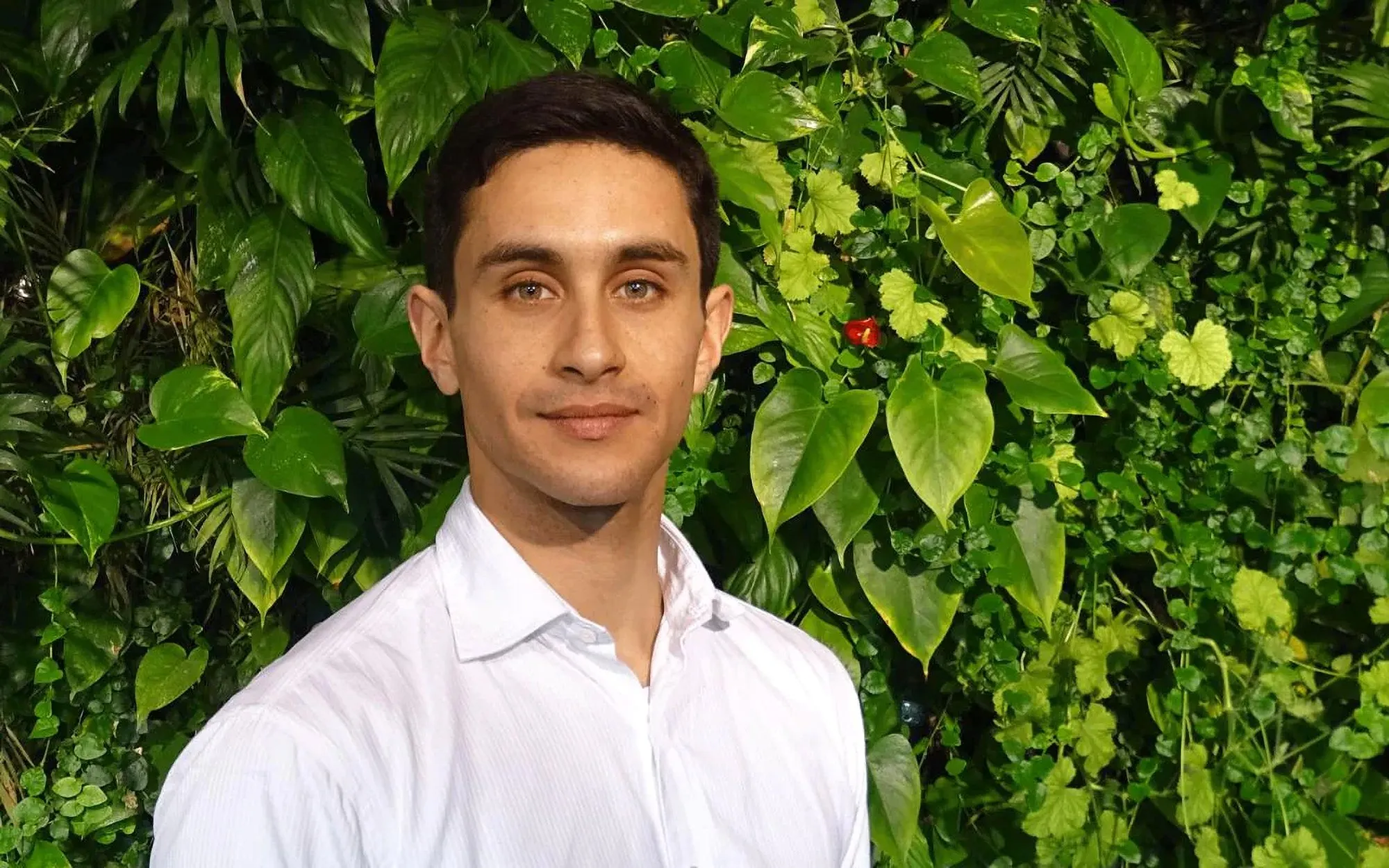 Omar Fayed