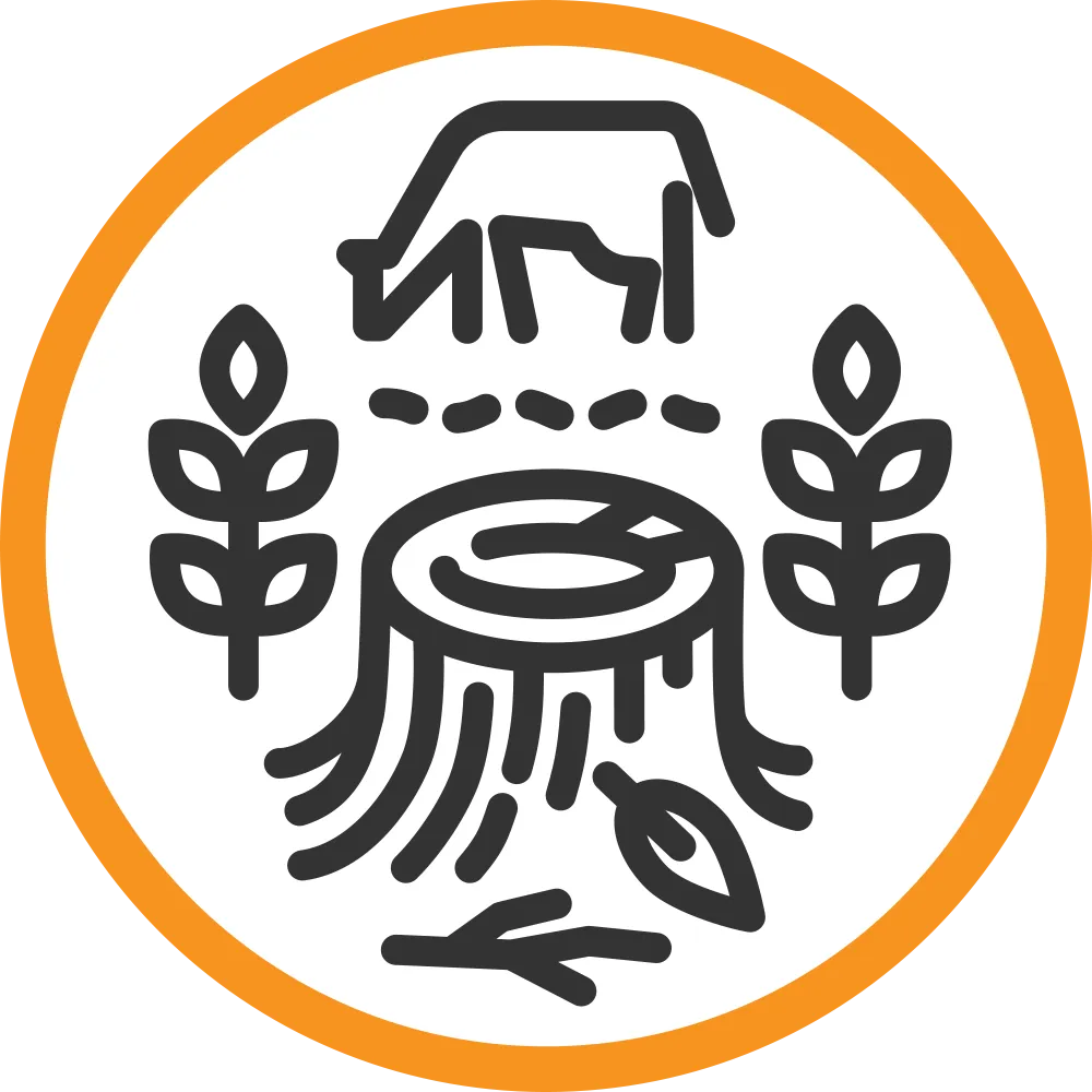 Land Use