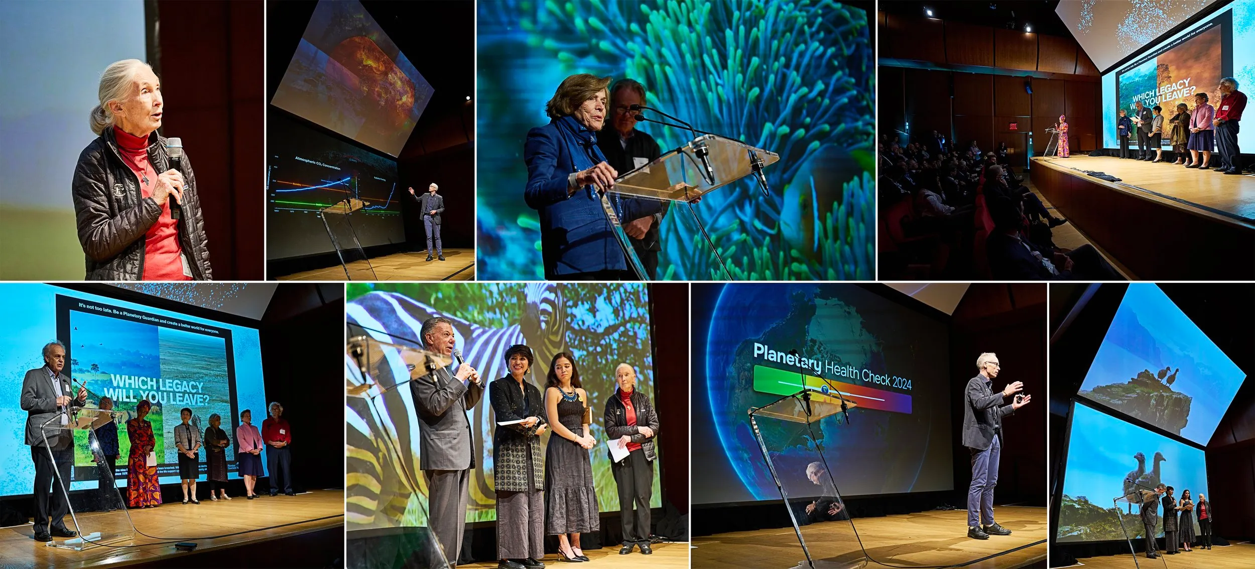 PHC Launch Collage