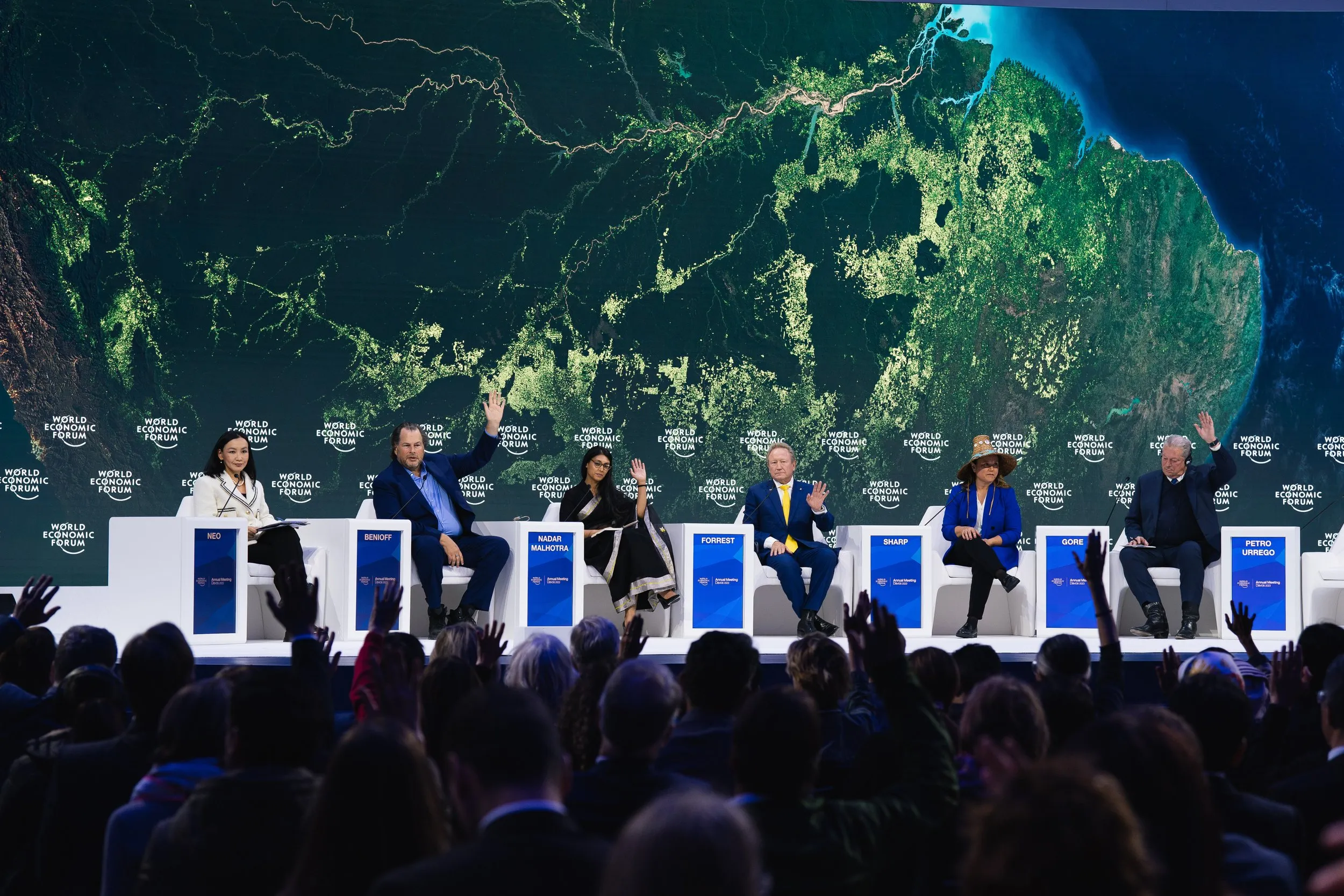 WEF Gallery