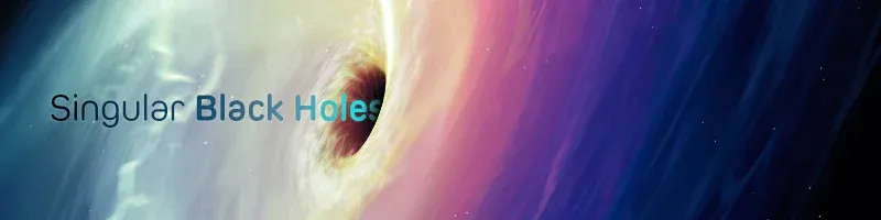 Black Holes