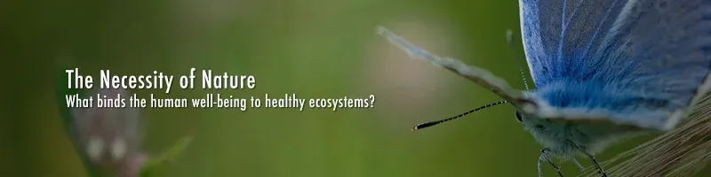 Ecoservices?