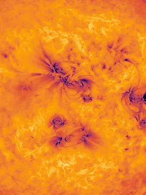 Les Troupeaux du Soleil