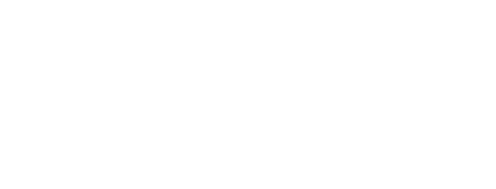 Leonardo DiCaprio Foundation