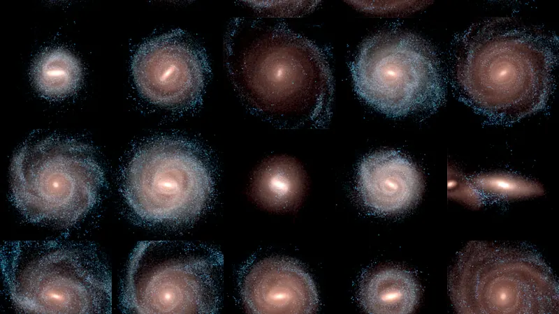 Auriga: image from the project