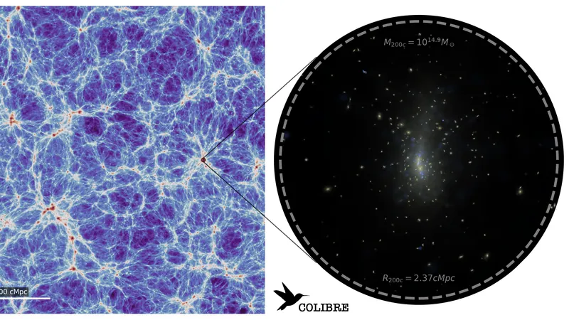 COLIBRE: image from the project