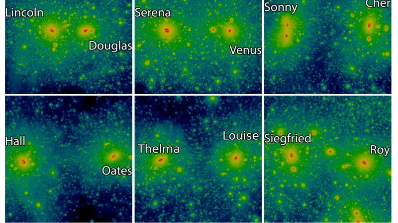 ELVIS (Exploring the Local Volume in Simulations): image from the project