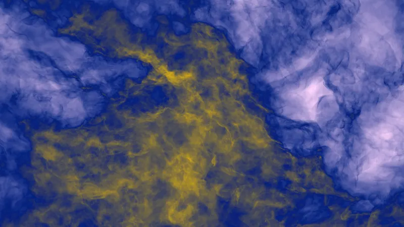 Enzo: image from the project