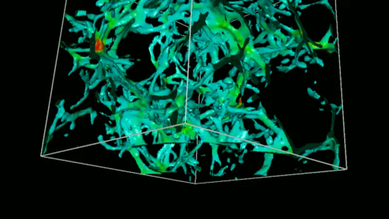 Grand Challenge Cosmology Consortium (GC3): image from the project