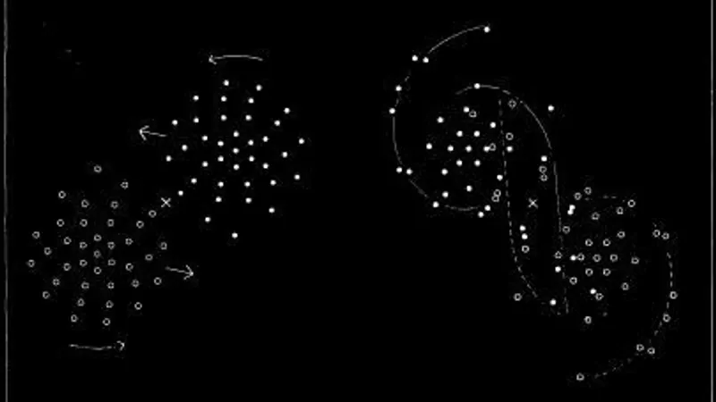 Holmberg's light-bulb galaxy encounter: image from the project