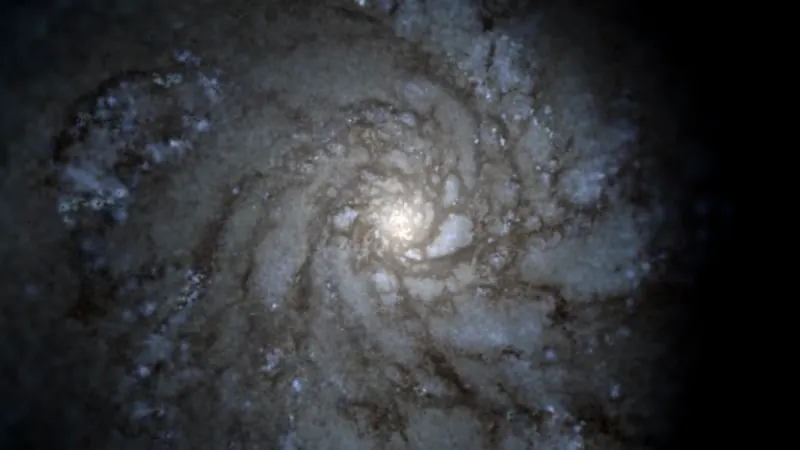 Latte (the Milky Way on FIRE): image from the project