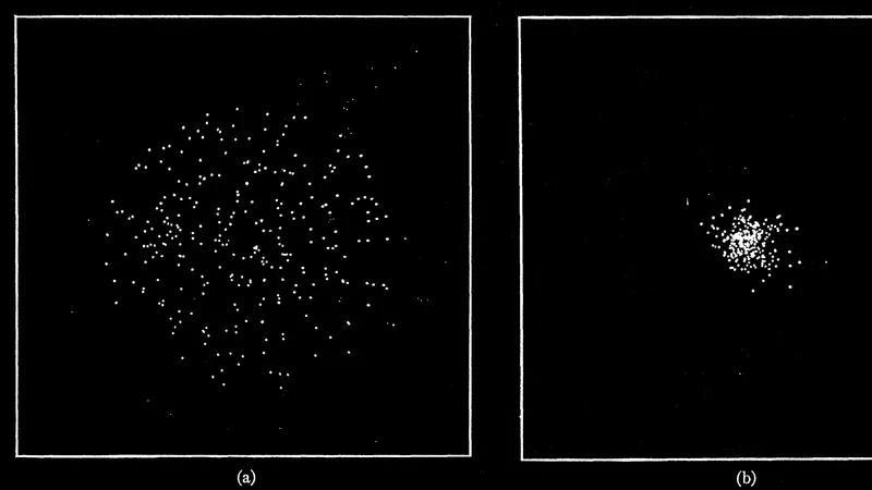 Peebles' Coma cluster collapse: image from the project