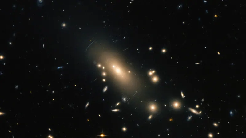 Abell catalogue of rich clusters (and ACO 1989): image from the project