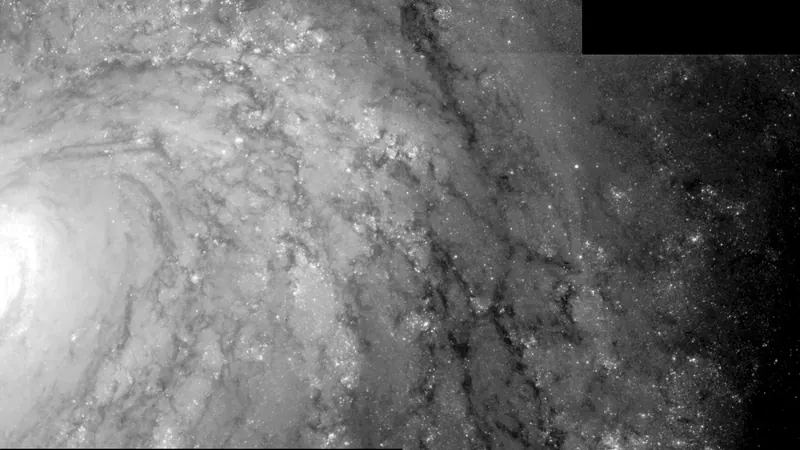 Hubble Space Telescope Key Project on the Extragalactic Distance Scale: image from the project