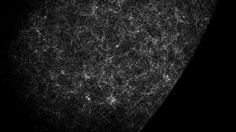 Lick galaxy counts (Shane–Wirtanen): image from the project