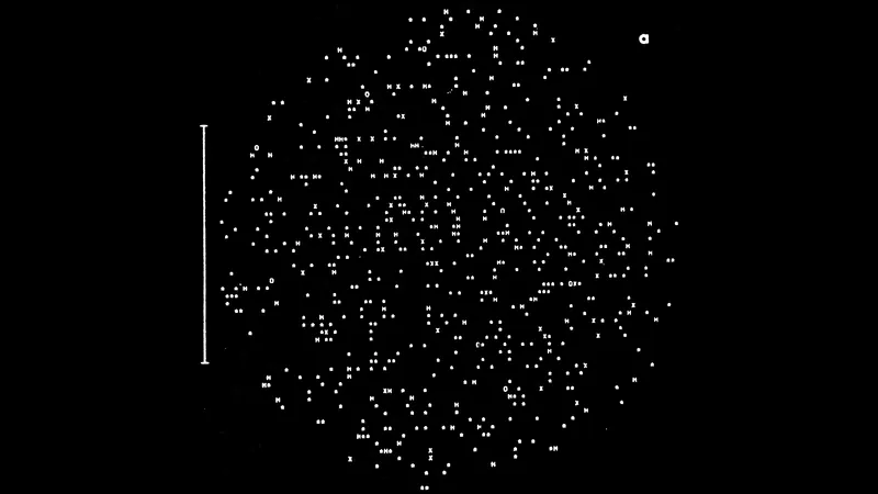 White's 700-body rich cluster: image from the project
