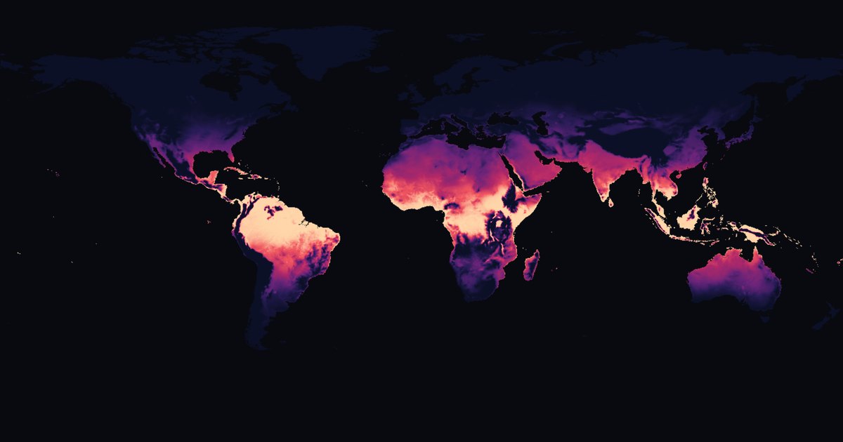 World map of tropical nights — nocturnal heat stress